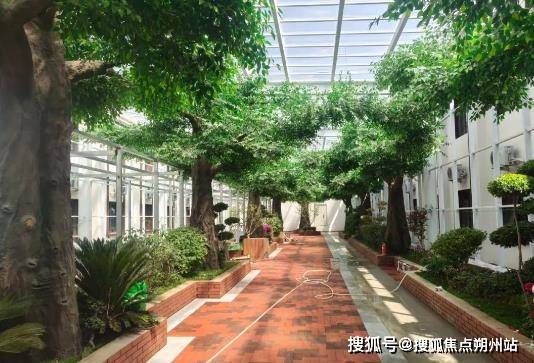 石景山区民族养老院（五里坨院区）护理团队